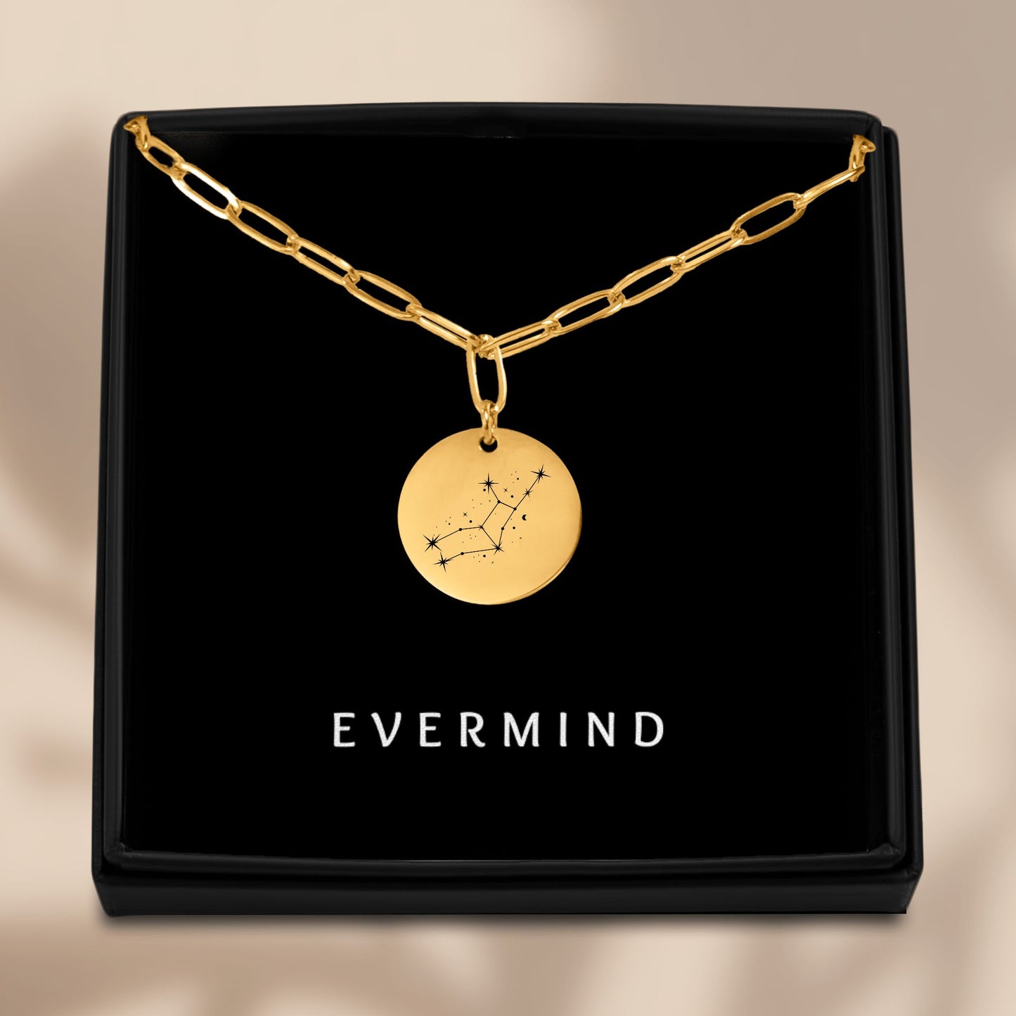 Virgo Constellation Paperclip Coin Necklace