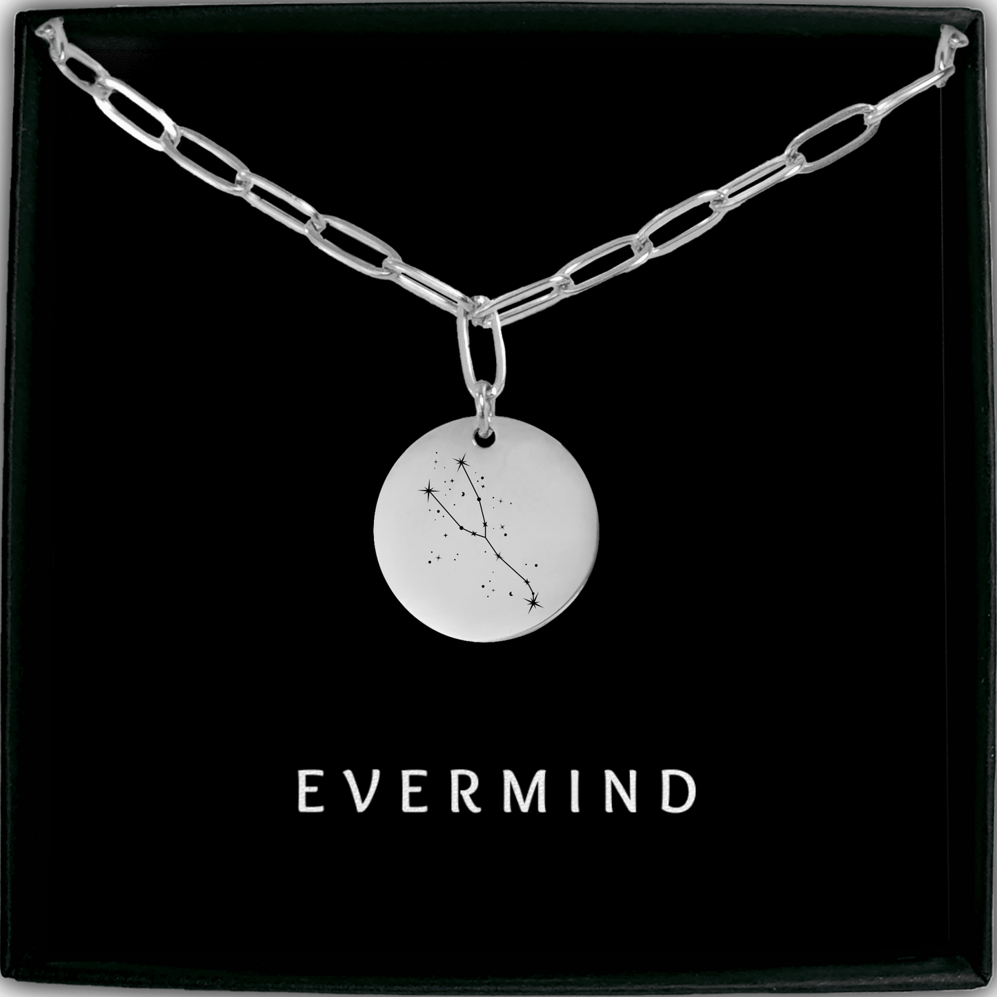 Taurus Constellation Paperclip Coin Necklace