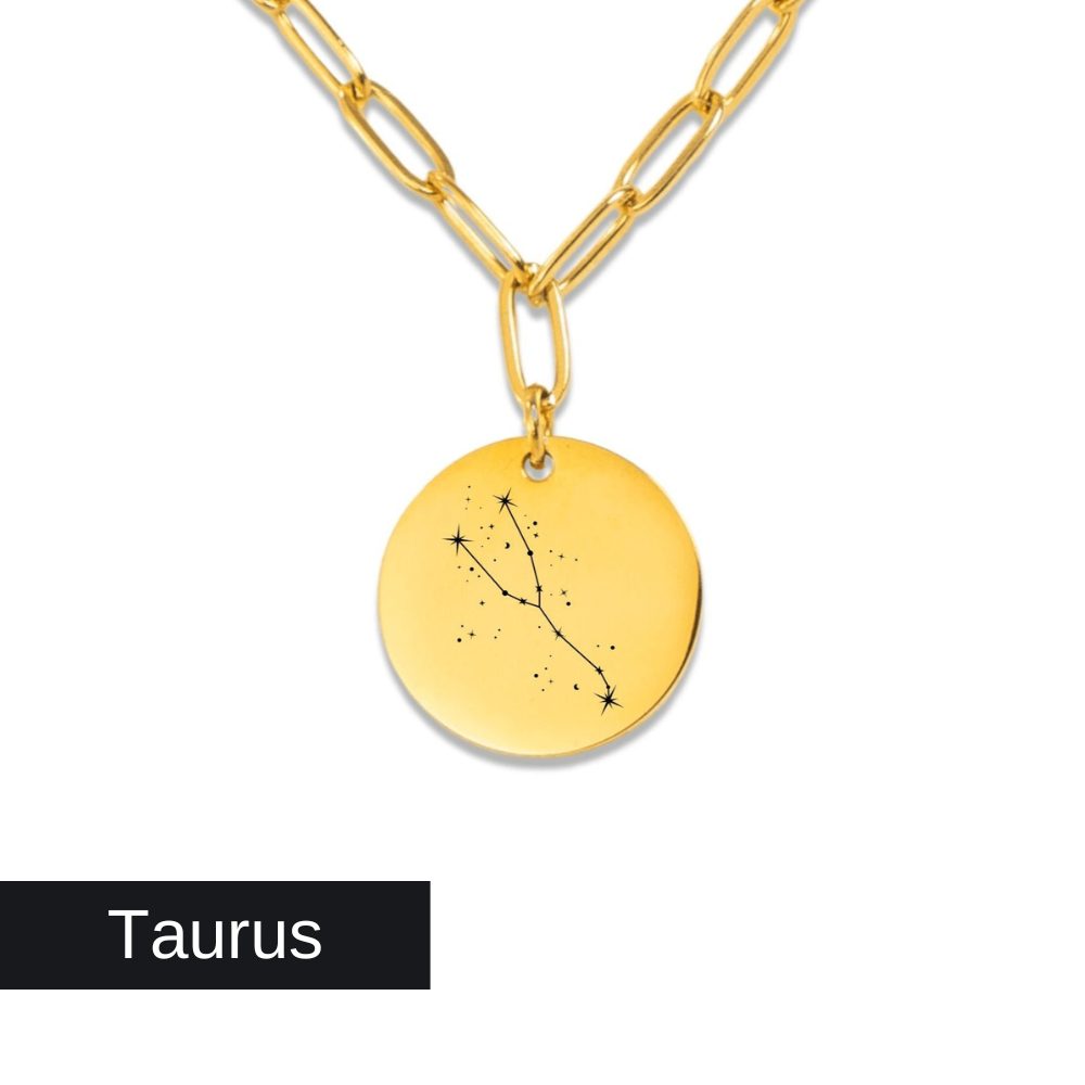 Taurus Constellation Paperclip Coin Necklace