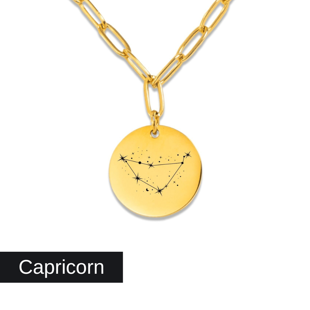 Capricorn Constellation Paperclip Coin Necklace