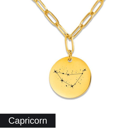 Capricorn Constellation Paperclip Coin Necklace