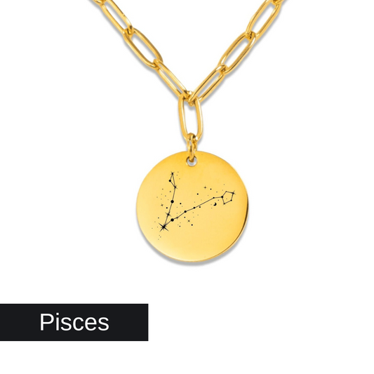 Pisces Constellation Paperclip Coin Necklace