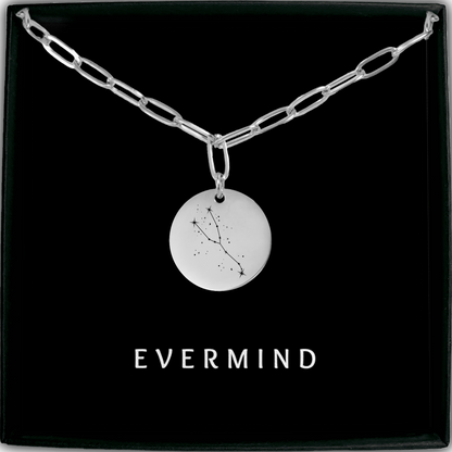Taurus Constellation Paperclip Coin Necklace